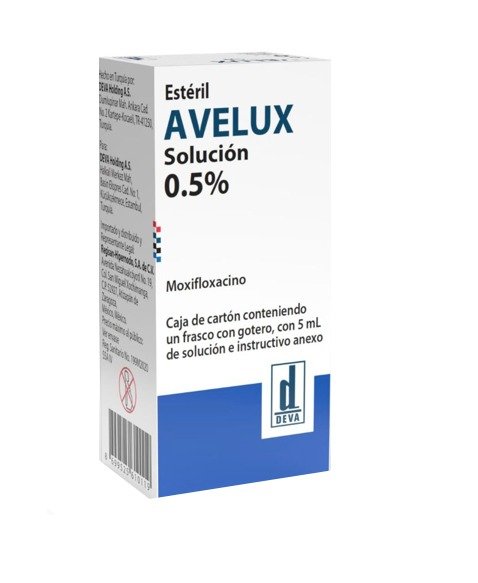 WhatsApp Image 2026-03-06 at 13.16.37